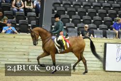24BUCK_09612 thumbnail