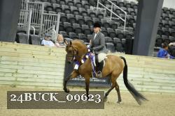 24BUCK_09623 thumbnail