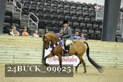 24BUCK_09625 thumbnail