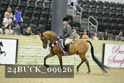 24BUCK_09626 thumbnail