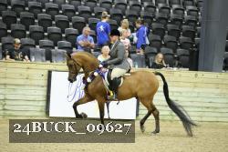 24BUCK_09627 thumbnail