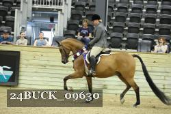 24BUCK_09630 thumbnail