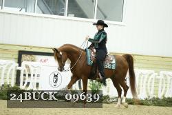 24BUCK_09639 thumbnail