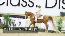 24BUCK_09641 thumbnail