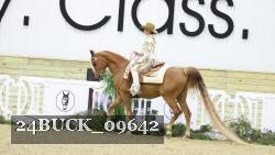 24BUCK_09642 thumbnail