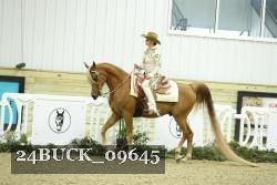 24BUCK_09645 thumbnail