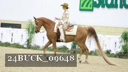 24BUCK_09648 thumbnail