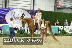 24BUCK_09650 thumbnail