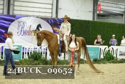 24BUCK_09652 thumbnail