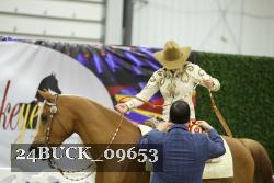 24BUCK_09653 thumbnail