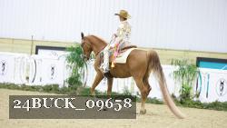 24BUCK_09658 thumbnail