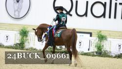 24BUCK_09661 thumbnail
