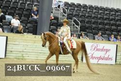 24BUCK_09667 thumbnail