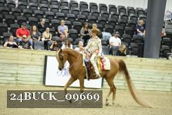 24BUCK_09669 thumbnail