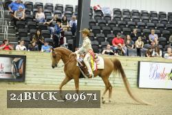 24BUCK_09671 thumbnail