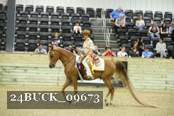 24BUCK_09673 thumbnail