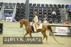24BUCK_09674 thumbnail