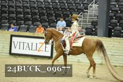 24BUCK_09677 thumbnail