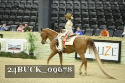 24BUCK_09678 thumbnail