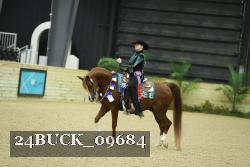 24BUCK_09684 thumbnail