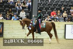 24BUCK_09696 thumbnail