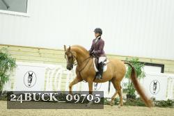 24BUCK_09705 thumbnail