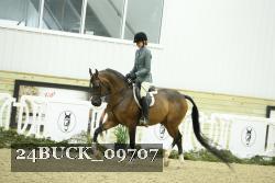 24BUCK_09707 thumbnail