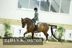 24BUCK_09708 thumbnail