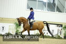 24BUCK_09710 thumbnail