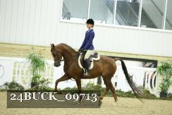 24BUCK_09713 thumbnail