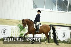24BUCK_09714 thumbnail
