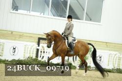 24BUCK_09719 thumbnail