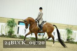 24BUCK_09720 thumbnail