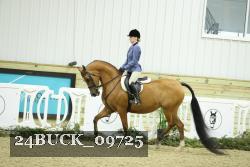 24BUCK_09725 thumbnail