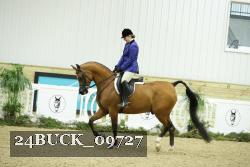 24BUCK_09727 thumbnail