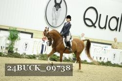 24BUCK_09738 thumbnail