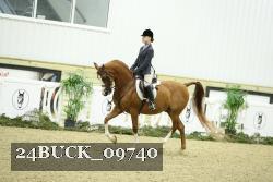 24BUCK_09740 thumbnail