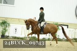 24BUCK_09743 thumbnail