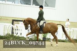 24BUCK_09744 thumbnail