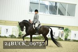 24BUCK_09757 thumbnail