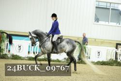 24BUCK_09767 thumbnail
