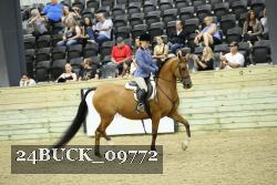 24BUCK_09772 thumbnail