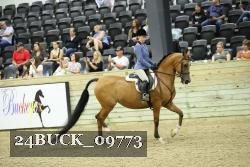 24BUCK_09773 thumbnail