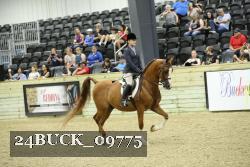 24BUCK_09775 thumbnail