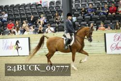 24BUCK_09777 thumbnail