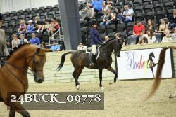 24BUCK_09778 thumbnail