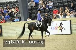 24BUCK_09779 thumbnail