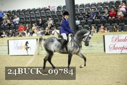 24BUCK_09784 thumbnail