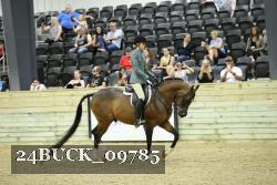 24BUCK_09785 thumbnail