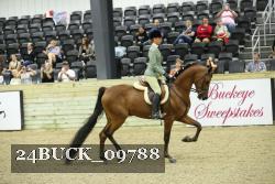 24BUCK_09788 thumbnail